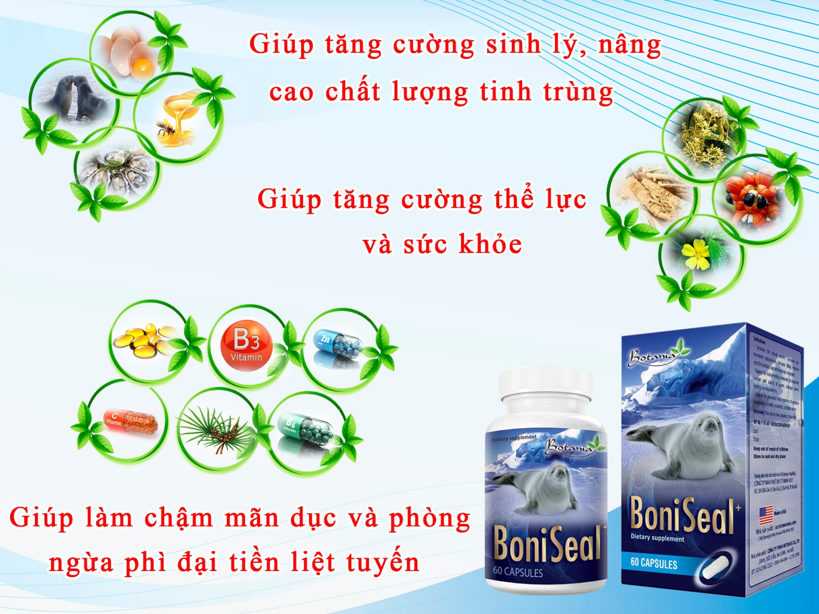 Sản phẩm BoniSeal +