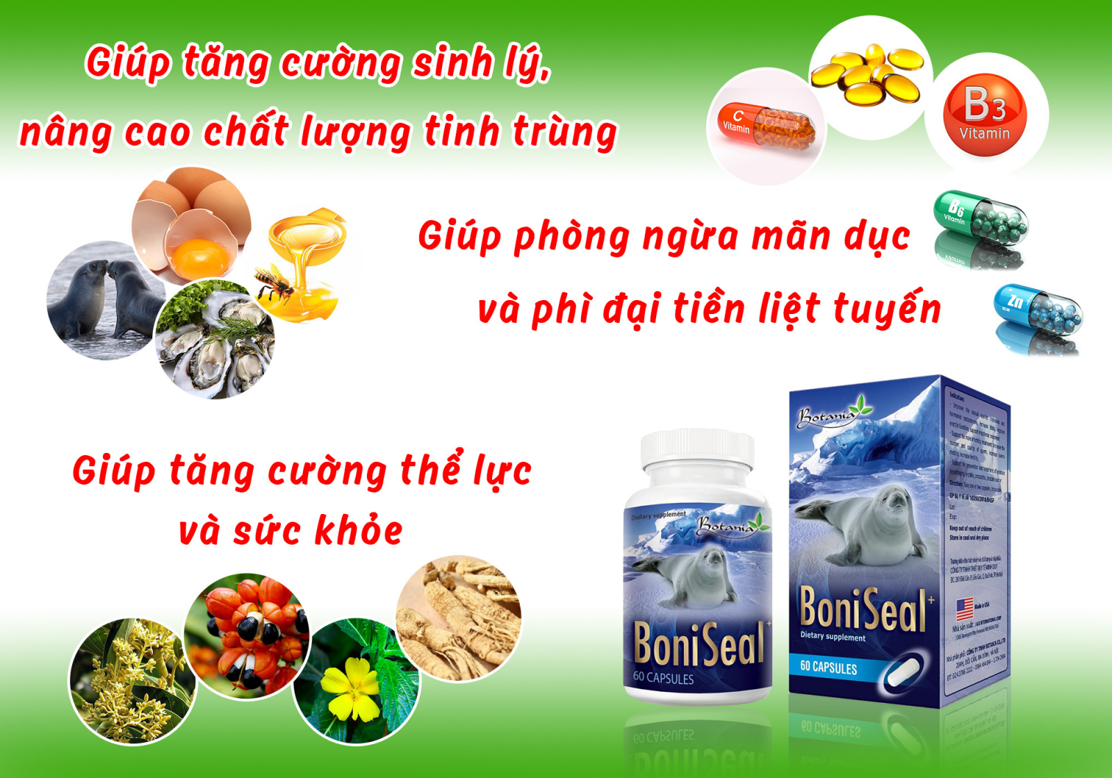 Thành phần của sản phẩm BoniSeal +