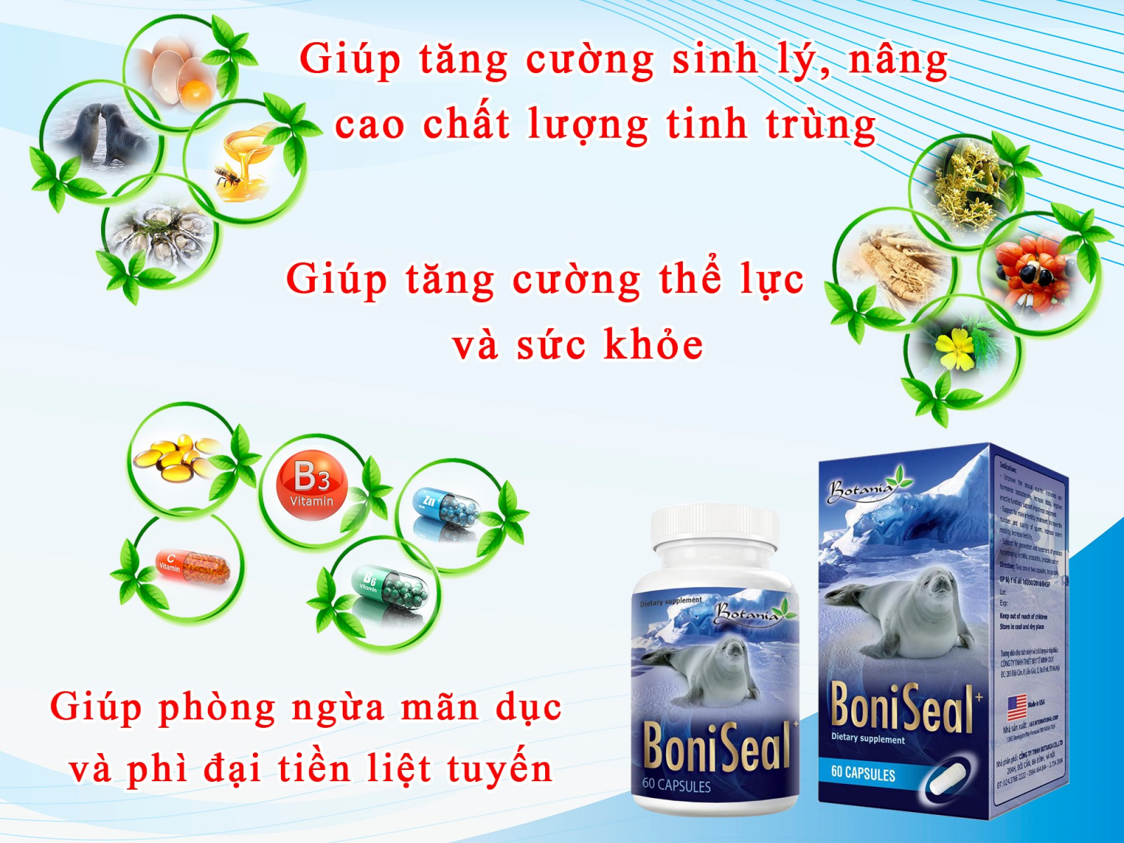 Tác dụng toàn diện của BoniSeal +