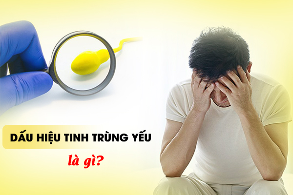 Dấu hiệu tinh trùng yếu là gì?