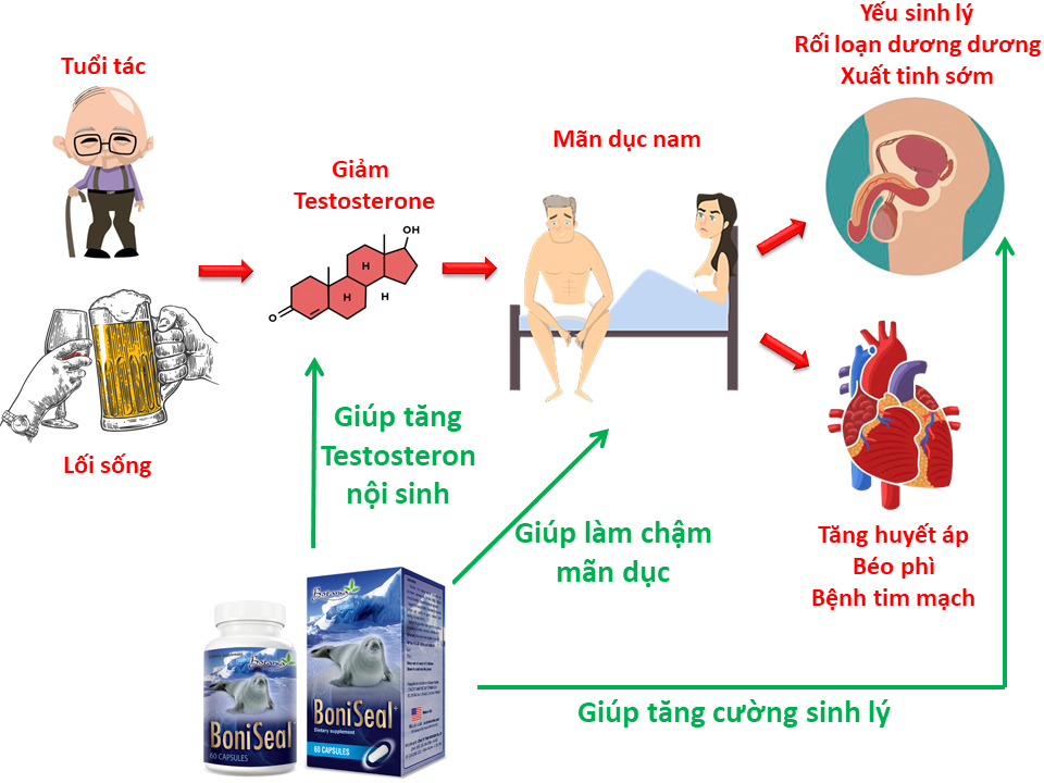  Tác dụng toàn diện của BoniSeal+