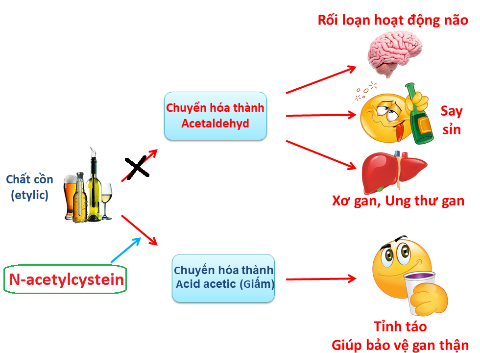 N-Acetylcystein giúp chống say xỉn hiệu quả