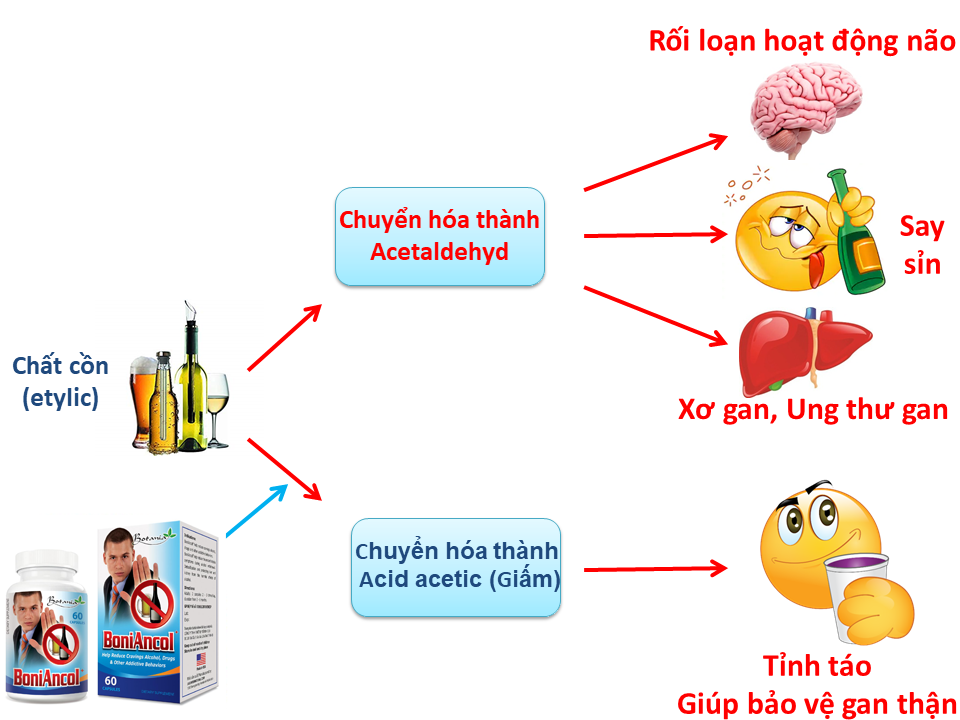 công dụng của boniancol