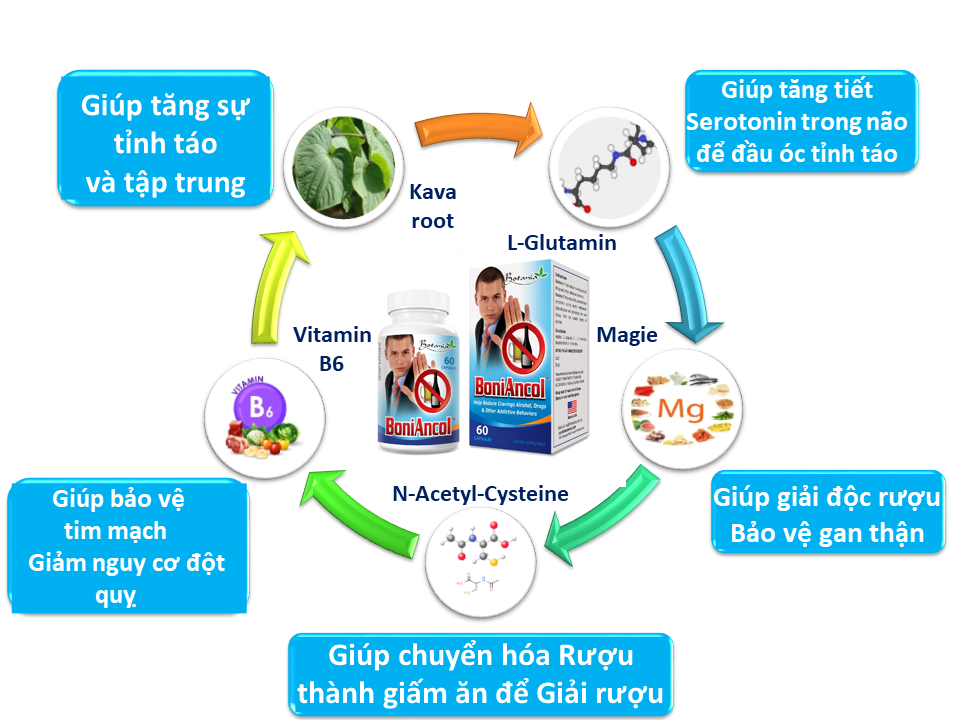 BoniAncol + giúp bỏ rượu hiệu quả