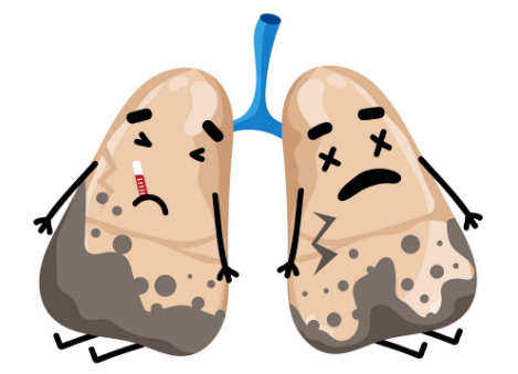 Nhiễm độc phổi là gì?