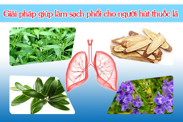 Giải pháp giúp làm sạch phổi cho người hút thuốc lá