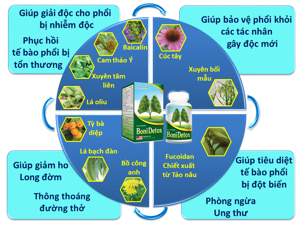 Thành phần toàn diện của sản phẩm BoniDetox