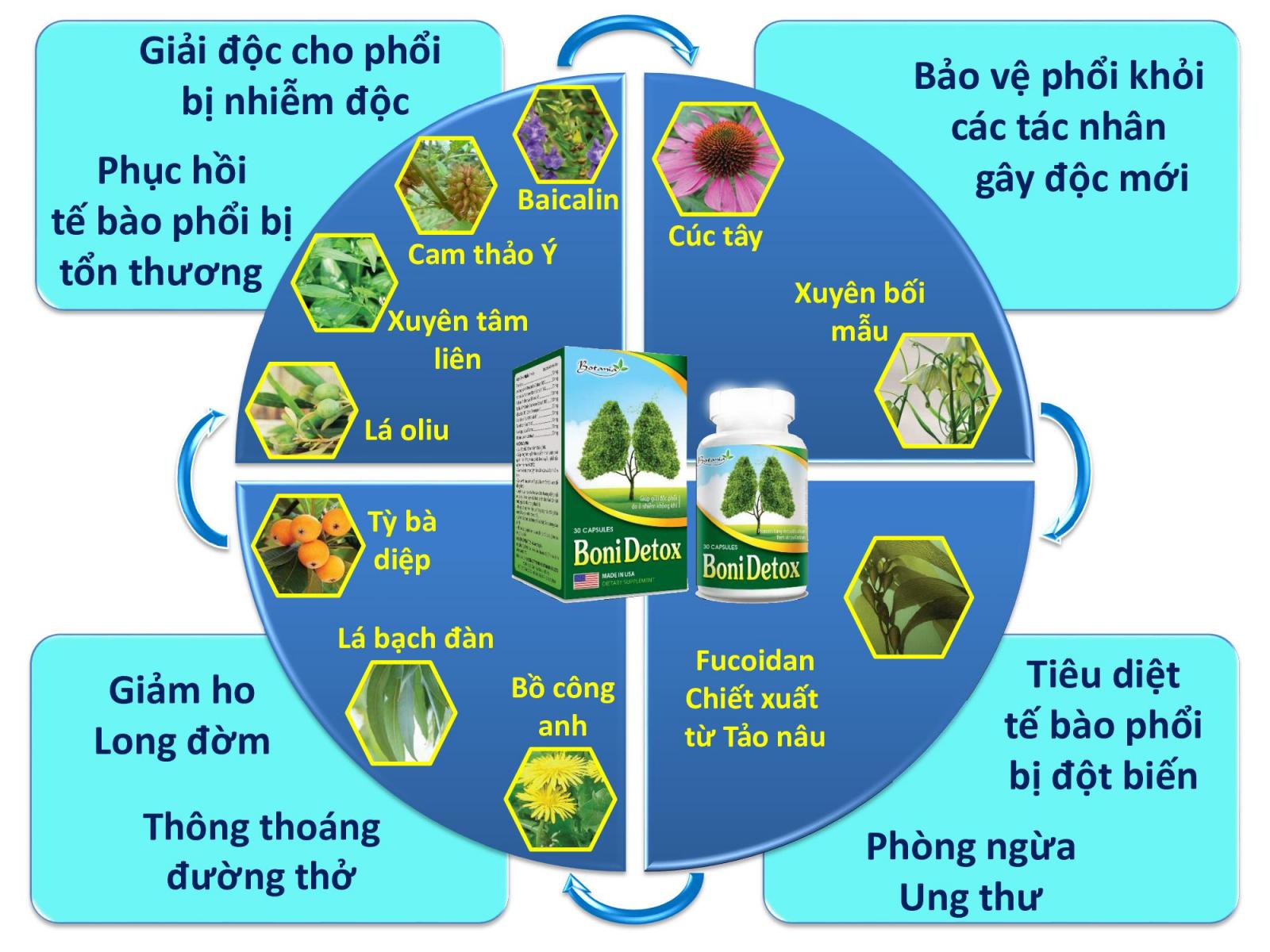 Công thức toàn diện của sản phẩm BoniDetox