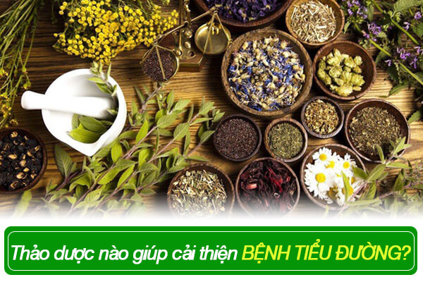 Tổng hợp các loại thảo dược giúp cải thiện bệnh tiểu đường an toàn và hiệu quả