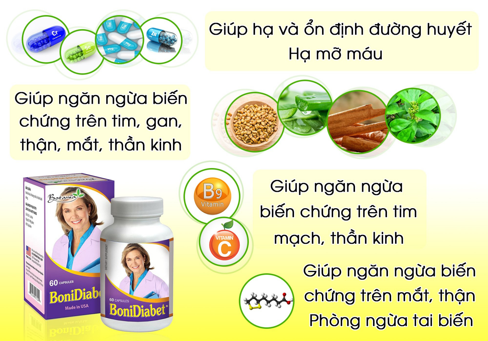 Công dụng toàn diện trong sản phẩm BoniDiabet +