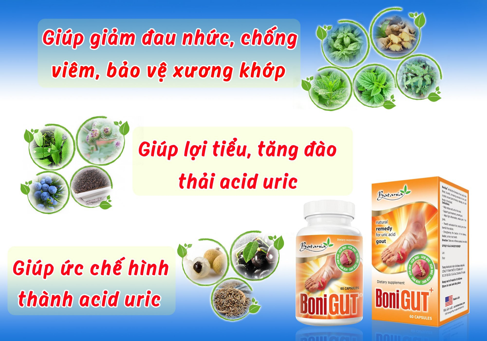 Thành phần toàn diện của BoniGut +