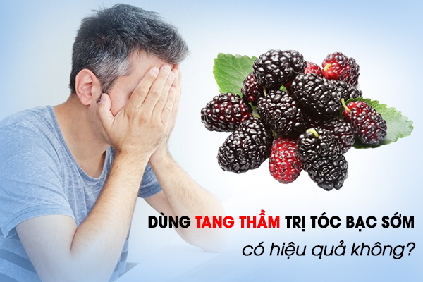 Dùng tang thầm trị tóc bạc sớm có hiệu quả không?