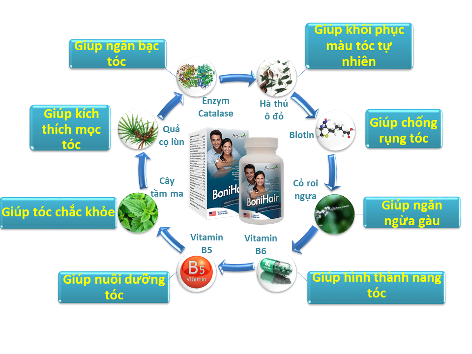 Thành phần toàn diện của sản phẩm BoniHair