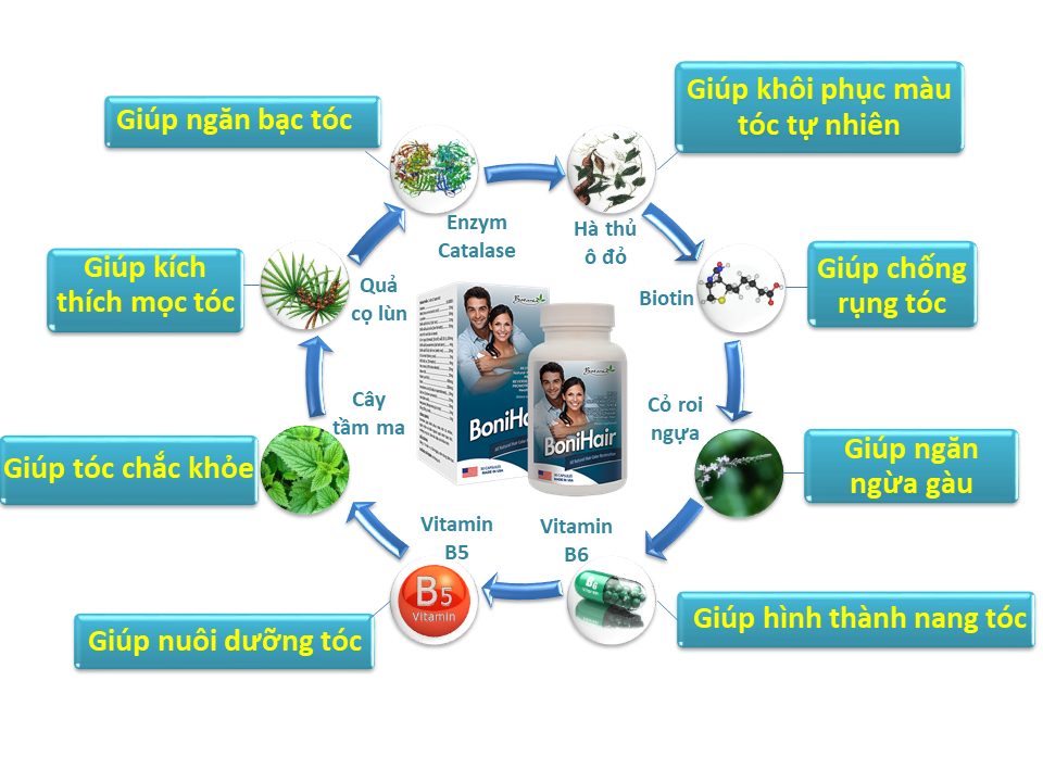 Công thức thành phần toàn diện của BoniHair