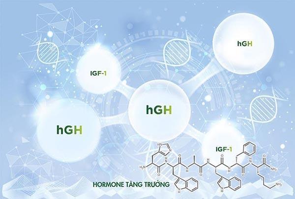 Thiếu hụt hormone tăng trưởng là gốc rễ của tình trạng mất ngủ