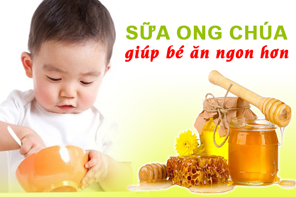 Sữa ong chúa kích thích vị giác giúp bé ăn ngon hơn