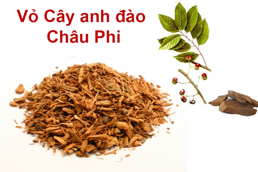 Vỏ cây anh đào châu Phi tốt cho người bệnh u xơ tuyến tiền liệt