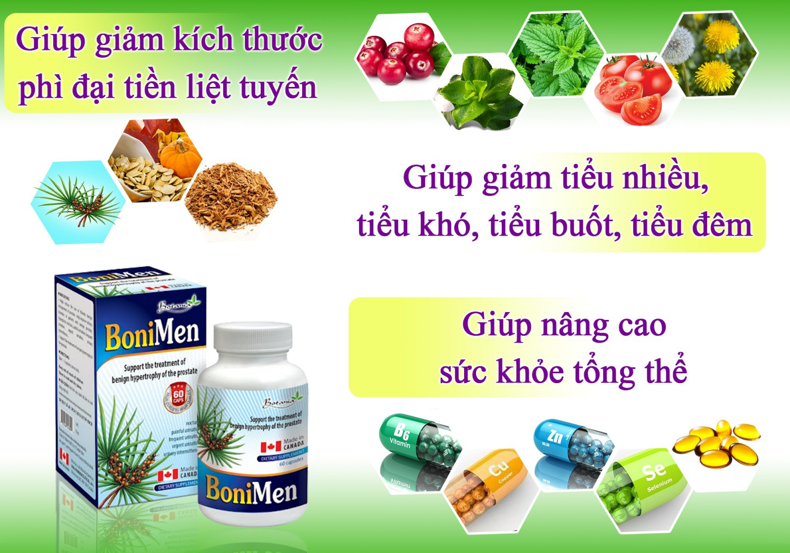 Thành phần sản phẩm BoniMen