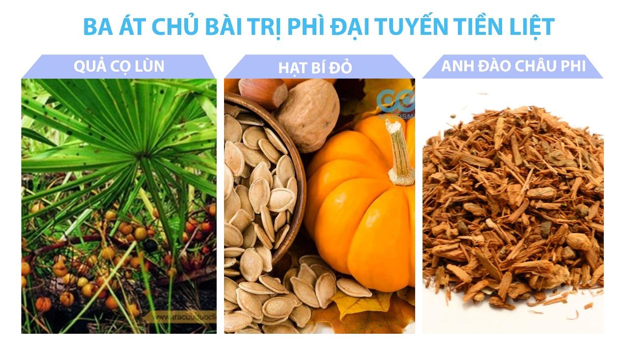 3 thảo dược át chủ bài cho bệnh phì đại tiền liệt tuyến