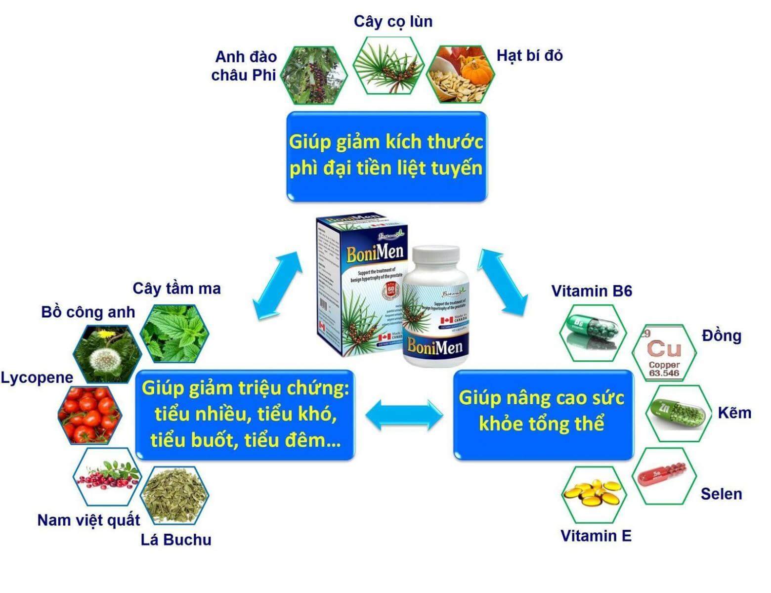 BoniMen có thành phần toàn diện và cơ chế tác dụng hoàn hảo