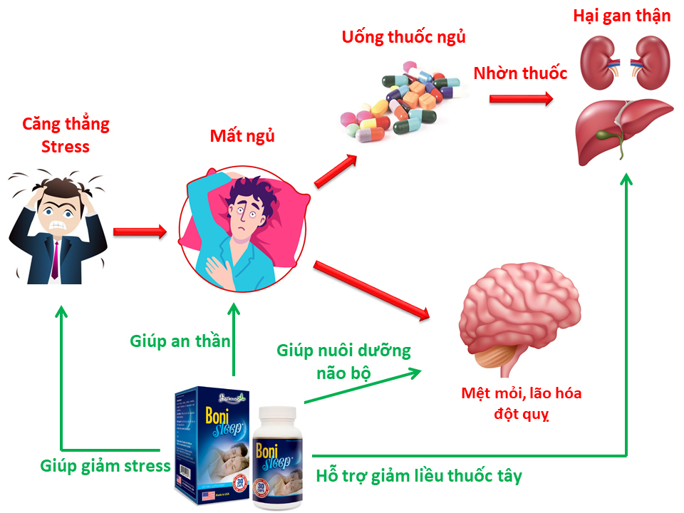 Công dụng của BoniSleep