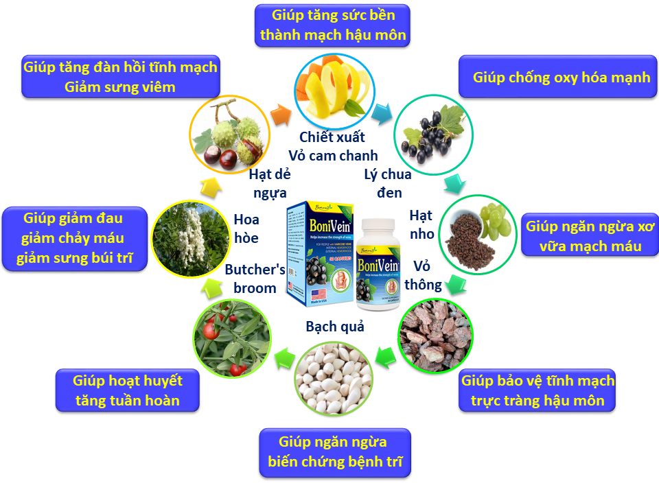 Công thức toàn diện của BoniVein