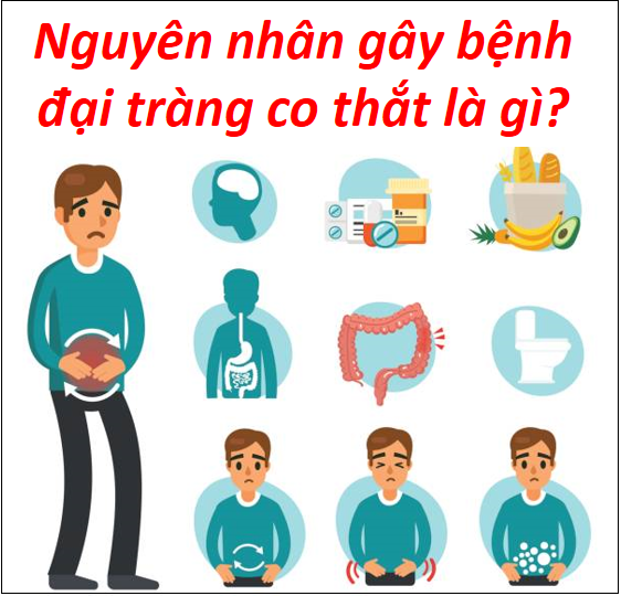 Nguyên nhân gây bệnh đại tràng co thắt là gì?