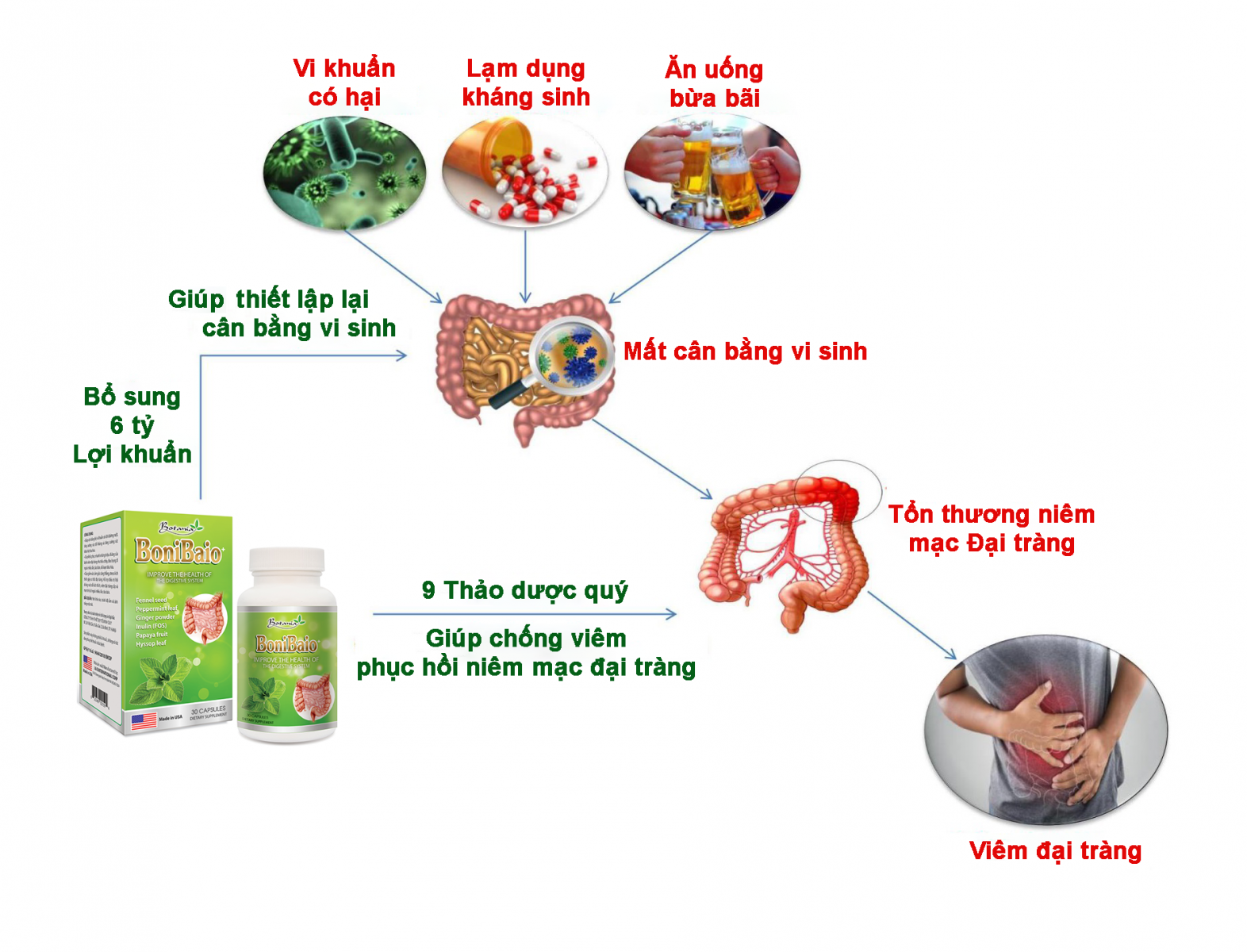  Cơ chế tác dụng của BoniBaio