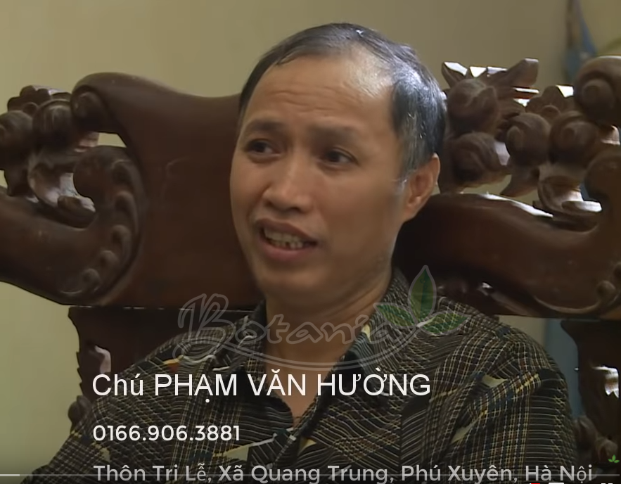 chú phạm văn hường dùng bonigut