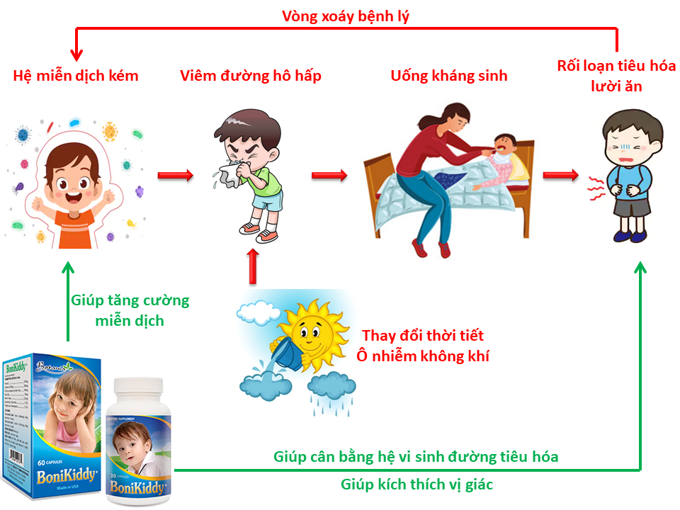 Tác dụng toàn diện của BoniKiddy +