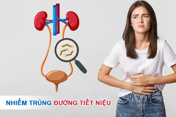 Nhiễm trùng đường tiết niệu - Những thông tin mà bạn cần biết!