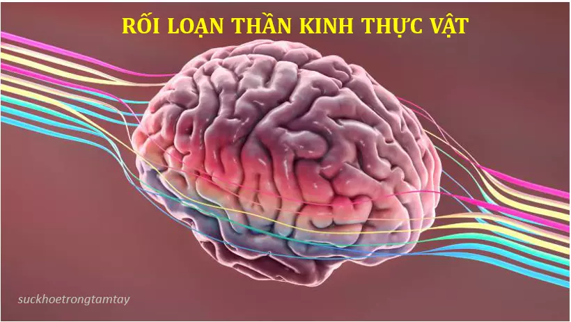 Rối loạn thần kinh thực vật