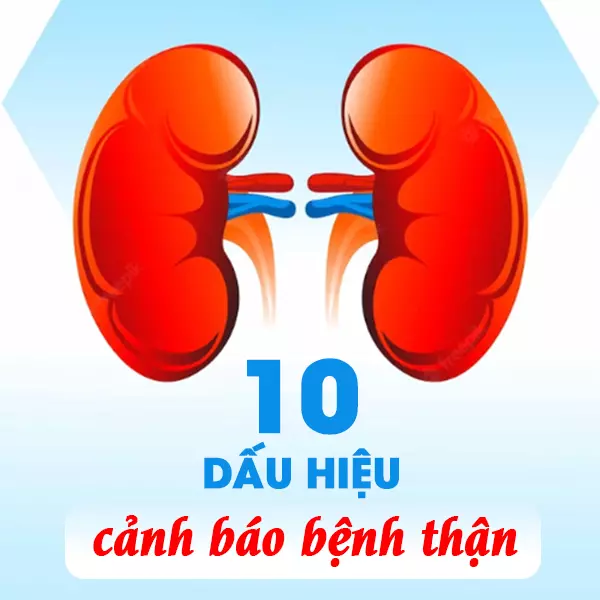 10 dấu hiệu cảnh báo bệnh thận mà bạn cần biết