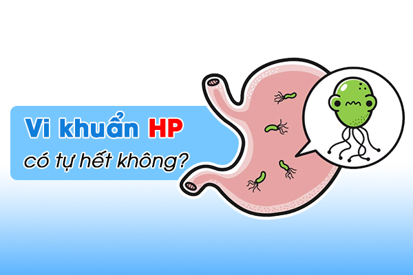 Vi khuẩn HP có tự hết không? Điều trị vi khuẩn HP dạ dày như thế nào?