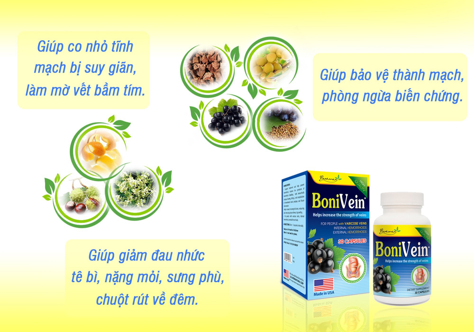 Thành phần BoniVein+ của Mỹ.