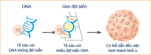 Hé lộ thủ phạm thật sự gây ra ung thư