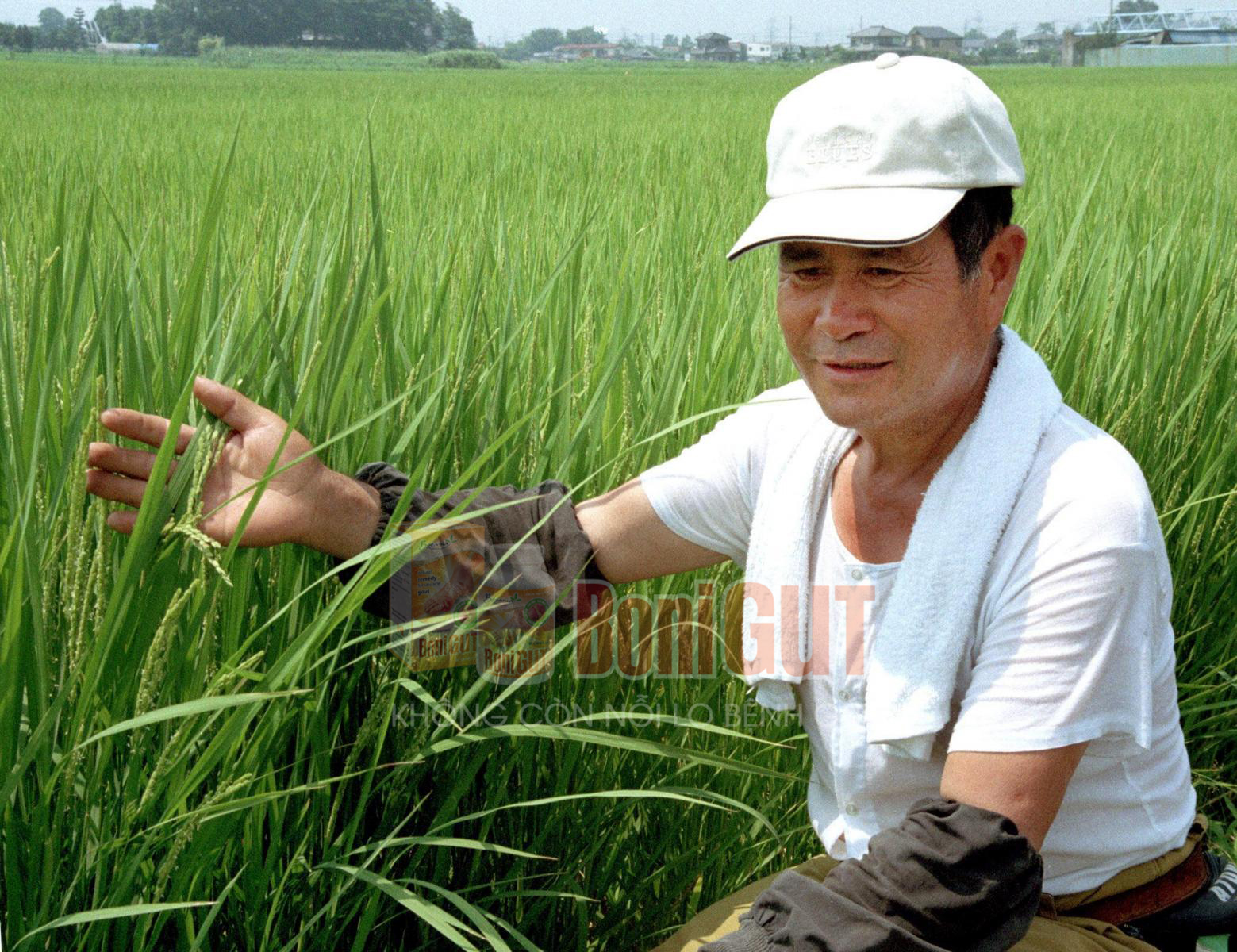 Ninh Bình: Có BoniGut, tôi không còn đau đớn sau 10 năm bị gút